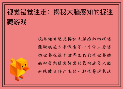 视觉错觉迷走：揭秘大脑感知的捉迷藏游戏